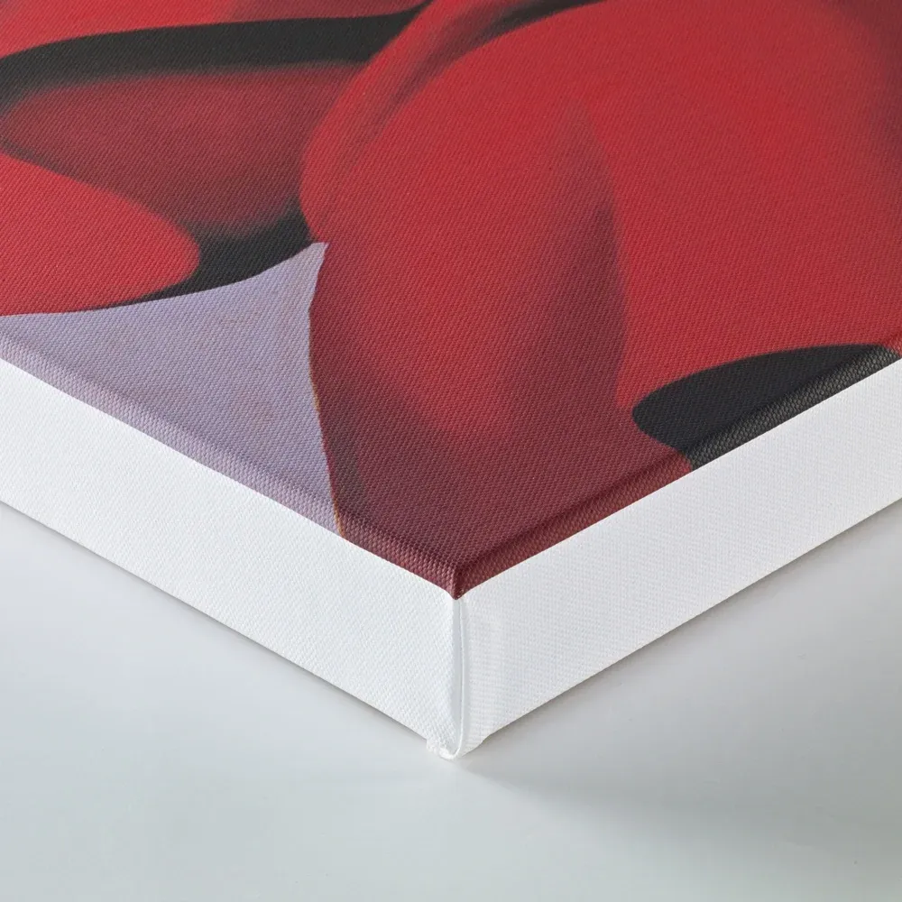 Stretched Canvas