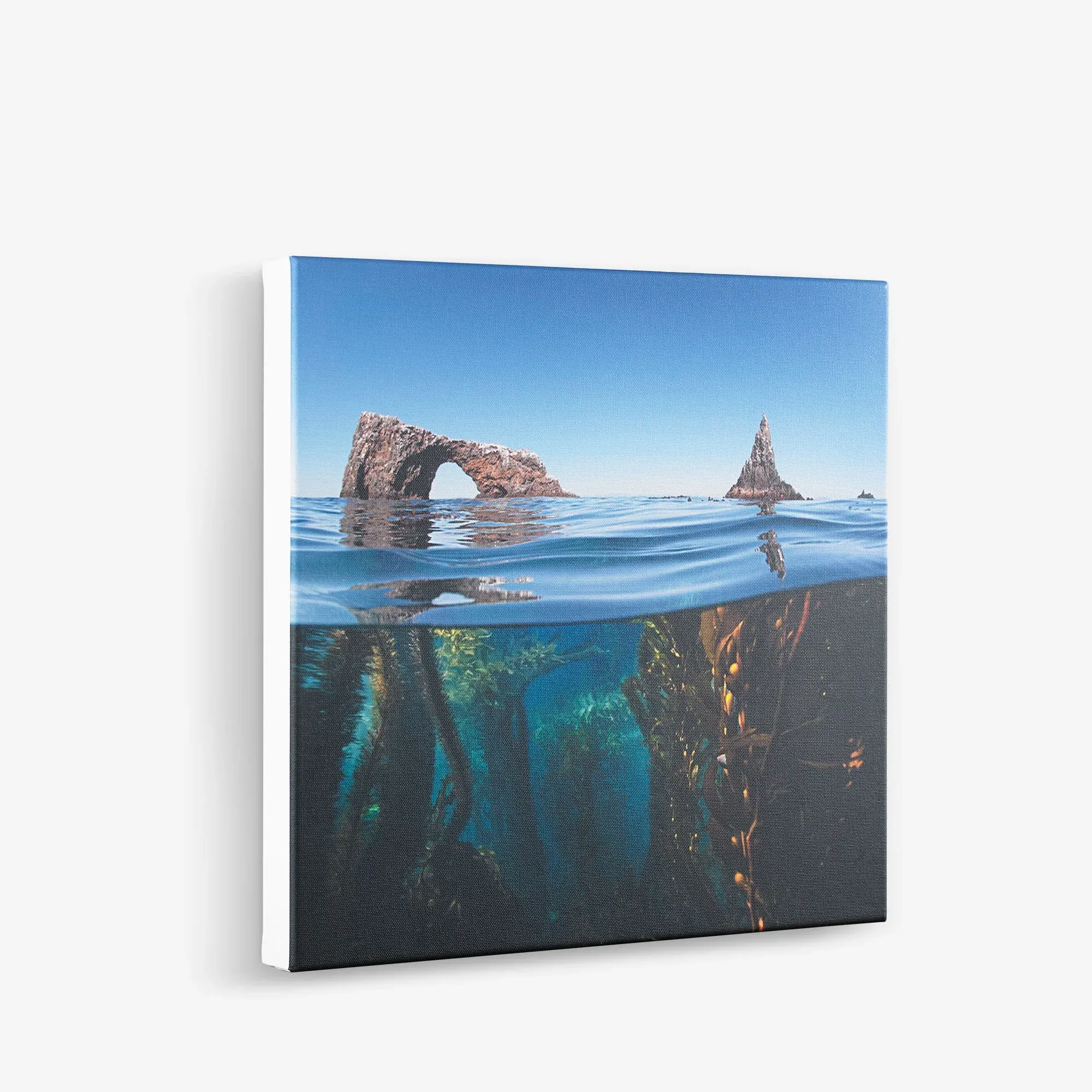 Stretched Canvas