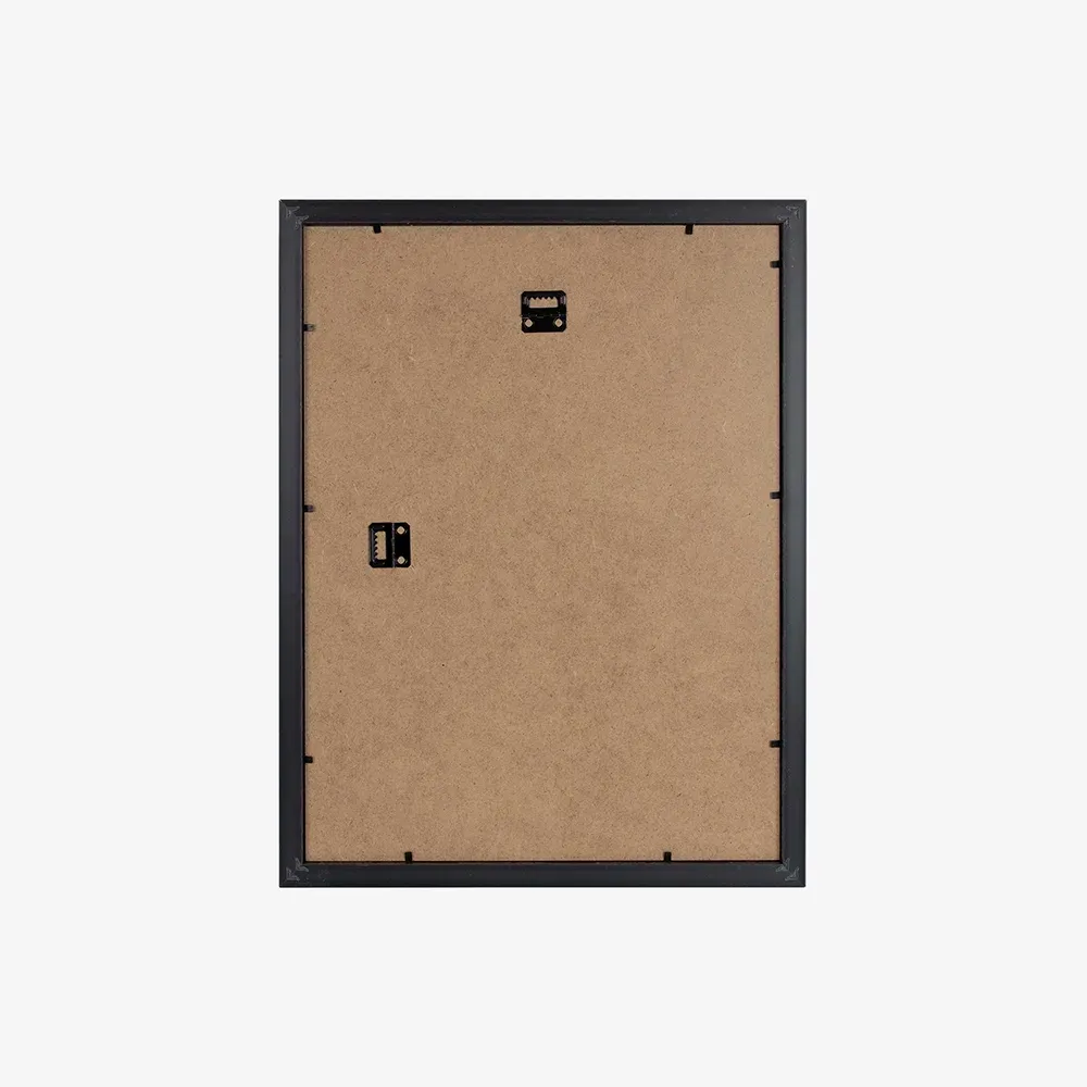 Budget Framed Poster