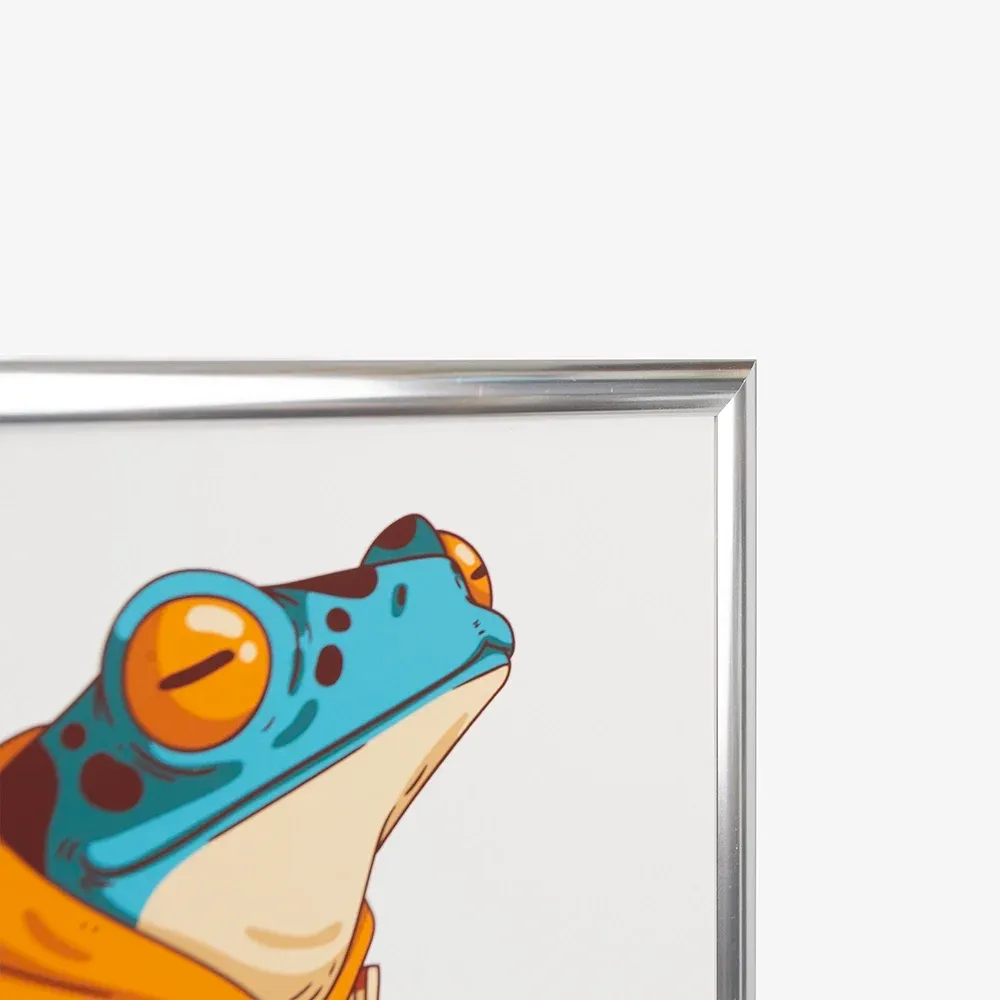 Aluminium Frames
