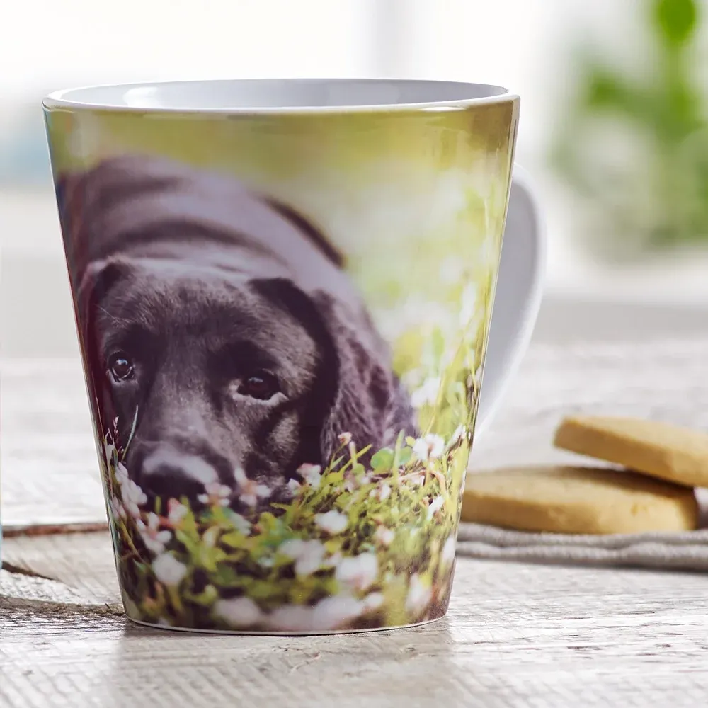 Latte Mugs