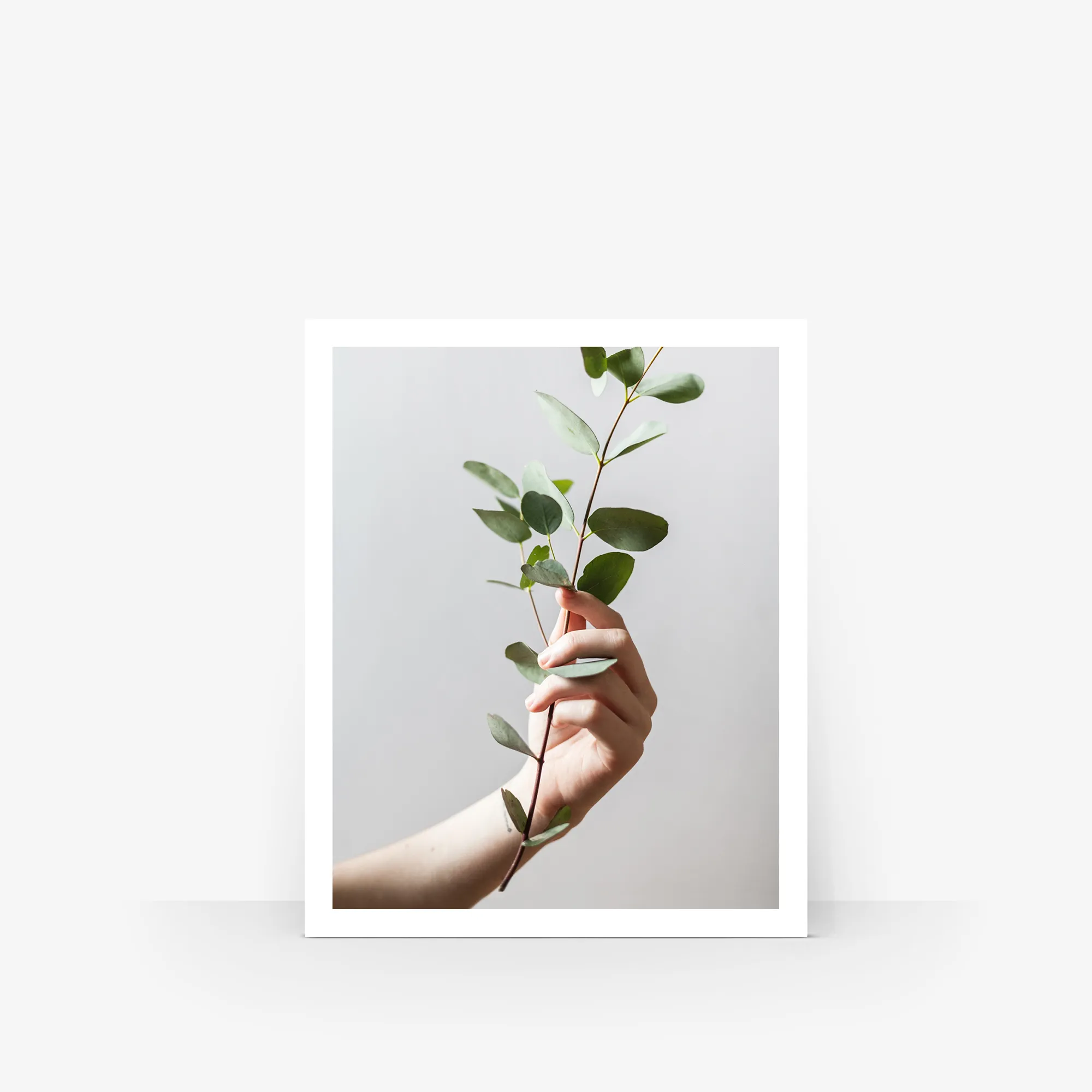 Fine Art Postcards
