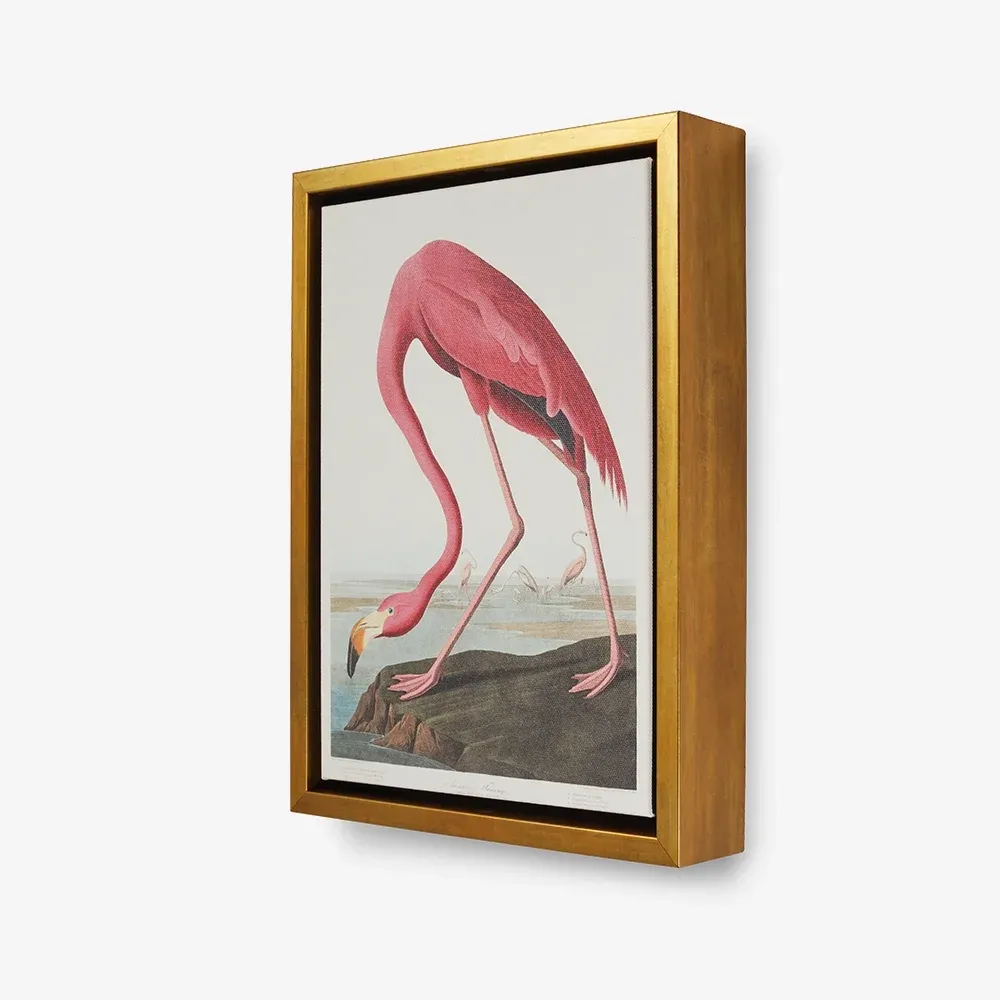 Framed Canvas