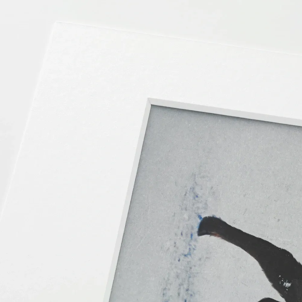 Mounted Prints