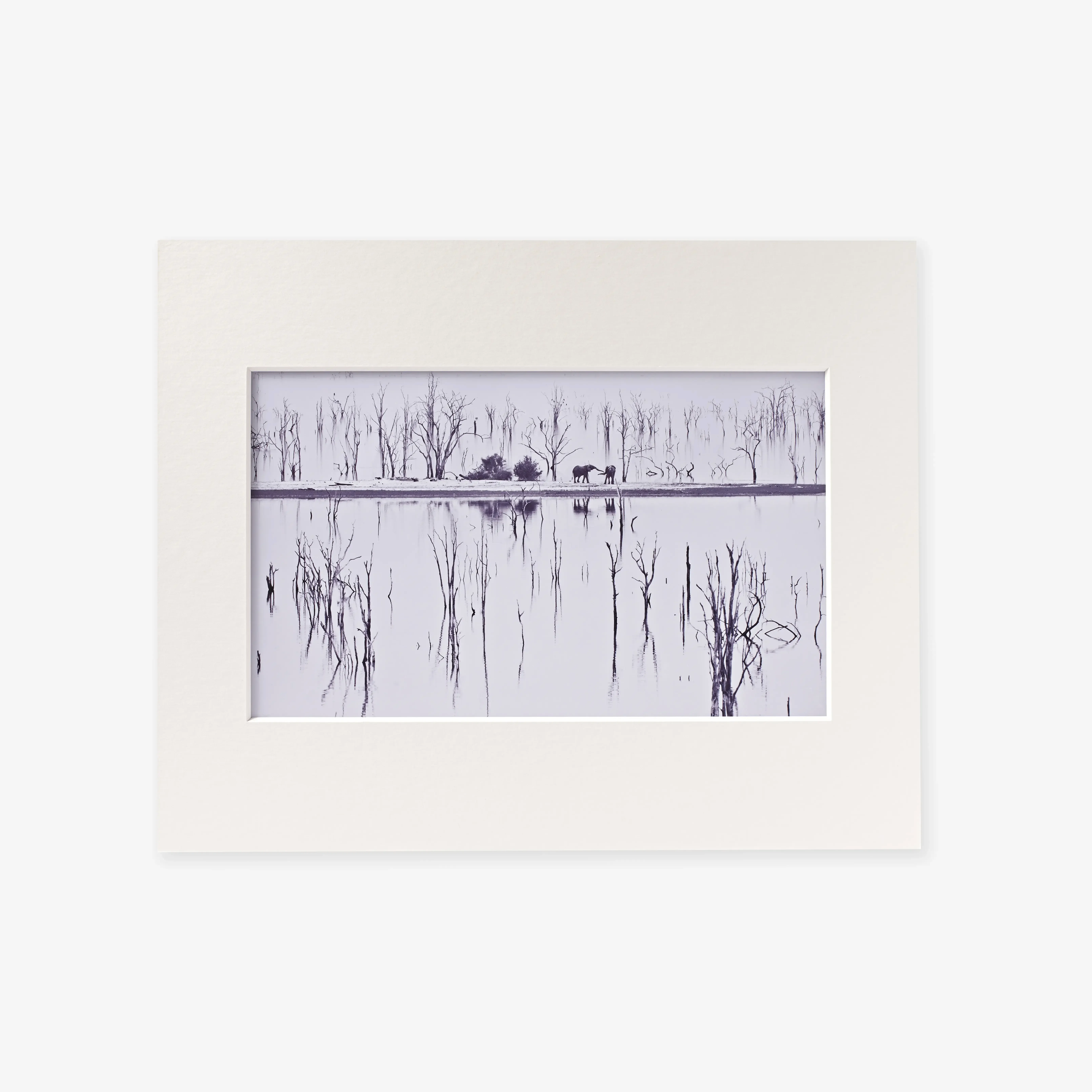 Mounted Prints